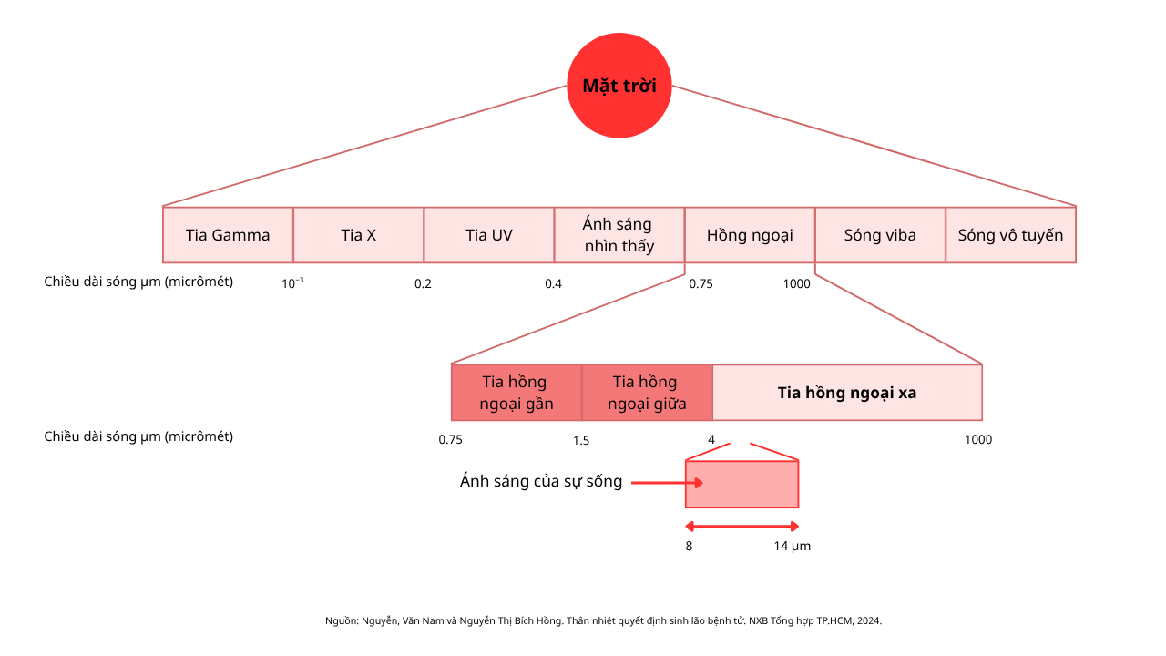 Tia hồng ngoại xa - 